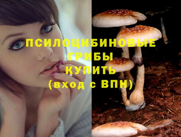 ГАЛЛЮЦИНОГЕННЫЕ ГРИБЫ Балабаново