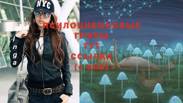 ГАЛЛЮЦИНОГЕННЫЕ ГРИБЫ Балабаново