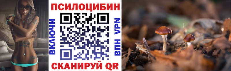 Псилоцибиновые грибы ЛСД  Нолинск 